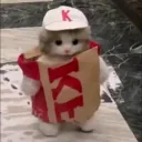 /KFC CAT