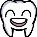 The Dental Office
