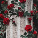 Asriel's Rose Garden
