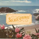🌴 Solace Springs