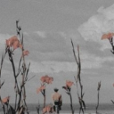 Historical Alter Sanctuary Discord server icon