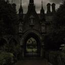 ₊˚.  Garden Nocturne ˚₊⊹ Discord Server