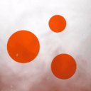 Discovery icon for BeamNG Modding TR Discord server