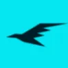 Hawktesters