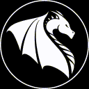 Dragontwin Discord Server Icon – Gaming