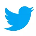 Twitter o Servidor™