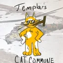 Cat Commune 😺