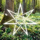 ˖°✧ The Shimmering Wood ✧˖°
