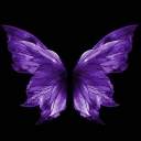 Alternate Reality Discord server icon