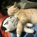 Billions Must Snuggle Discord Server Icon