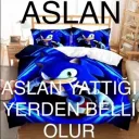 aslan yattığı yerden belli olur
