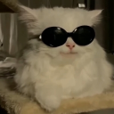 All Language Study & Game Friends