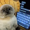 unemployedcats