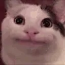 BeluGANG