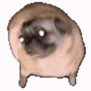 Server for goofy goobers