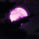 Moon Community