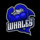 Whales | Nature League