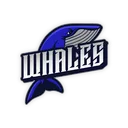 Whales | Nature League