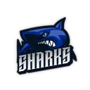 Sharks | Nature League