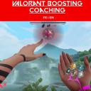 Valorant Boosting & Coaching | FR / EN | PC |