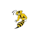 Sting Enhancements