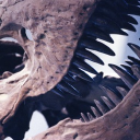 𓅾. 𝗣𝗥𝗘𝗛𝗜𝗦𝗧𝗢𝗥𝗜𝗔 .𓅾