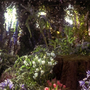 the moss garden Discord server icon