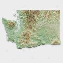 •★🌲Washingtons Discord🌲★•