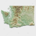 •★🌲Washingtons Discord🌲★•