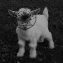 ⛧°. ⋆༺ 𝔠𝔯𝔢𝔢𝔭𝔰 ༻⋆. °⛧𝔠