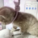 Муравейник приколеров
