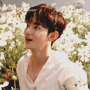 @ zbhao  ₊˚.   #ZB14EVER Discord server icon