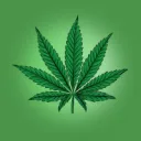 🍃 ZaZa PlaZa's icon