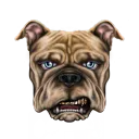 Doginal K9s