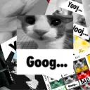 Googlandia (GOOGFUL)