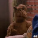 Hotel Halla