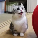 𝐋𝐢𝐛𝐞𝐫𝐢𝐭𝐲 𝐋𝐞𝐠𝐢𝐨𝐧
