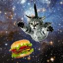 ⋆˚࿔ 𝗅𝗂𝗏𝗌 𝗀𝖺𝗋𝖽𝖾𝗇 𝜗𝜚˚⋆ avatar