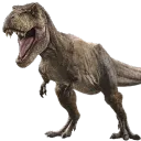 ‧₊˚✧Raquetianos 🦖💪 ✧˚₊‧