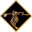 No. 308 Polish Fighter Squadron