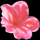 Azalea Interactive