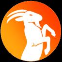 Server Icon