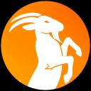 Server Icon