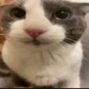 the 𝓯𝓻𝓮𝓪𝓴𝔂 cave avatar