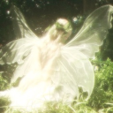 Fairy Pond ♡₊˚ 🦢 Discord server icon