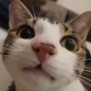 Nameless Discord server icon