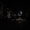 darknight