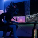 Cody's Kingdom