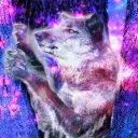 •☽ Forbidden Obsessions ☾•