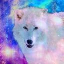 •☽ Forbidden Obsessions ☾•